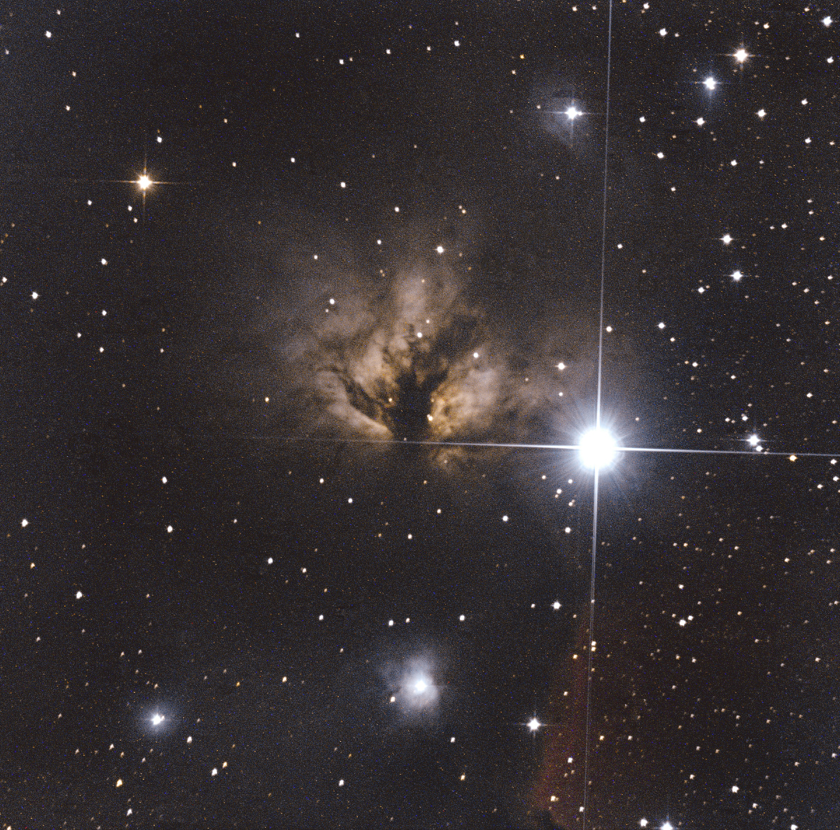 尼康d5100 信达小黑150750 对不上焦瞎搞搞