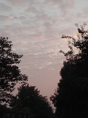 4237023
