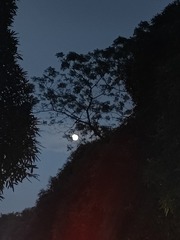 1000046213