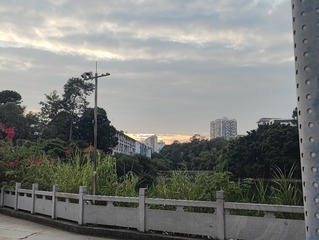 1000046194