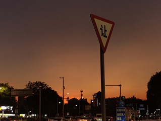 1000040101