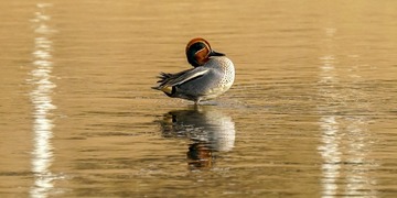 A08-DSC05505