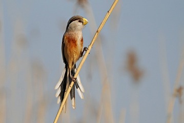 DSC00794a