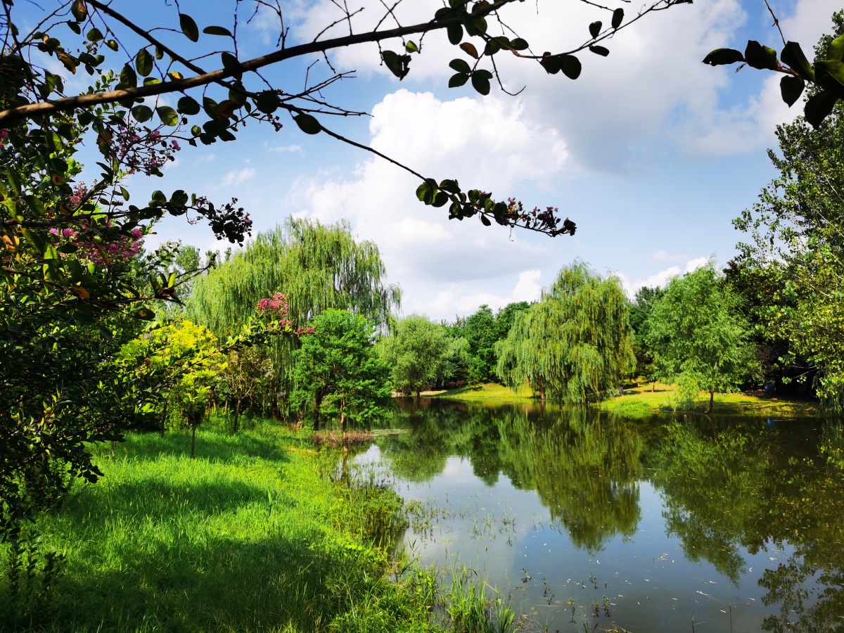 南京三桥湿地公园