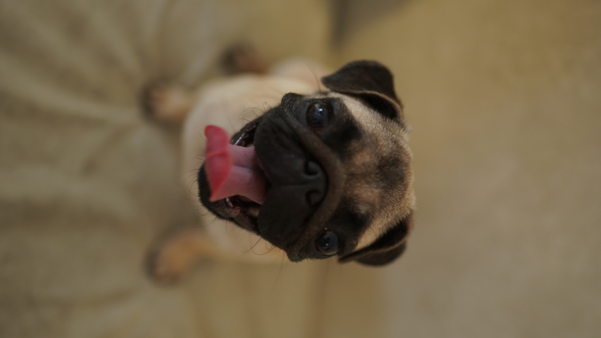 675_1200竖版 竖屏