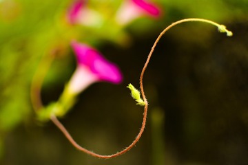 F7101A58-5E5B-4444-AD2D-ED319722E926/L0/001