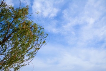4F1E3FCF-AD62-46D4-AC28-1F80FE5E5736/L0/001