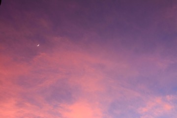 2C2F055A-5AC7-4C0C-ACC4-B8989A280EAB/L0/001