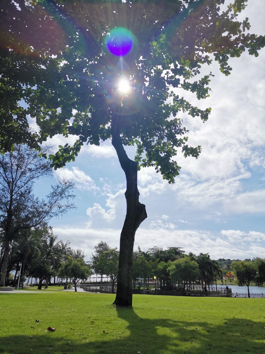 清晨的一缕阳光洒满大地滋养着每一寸土地