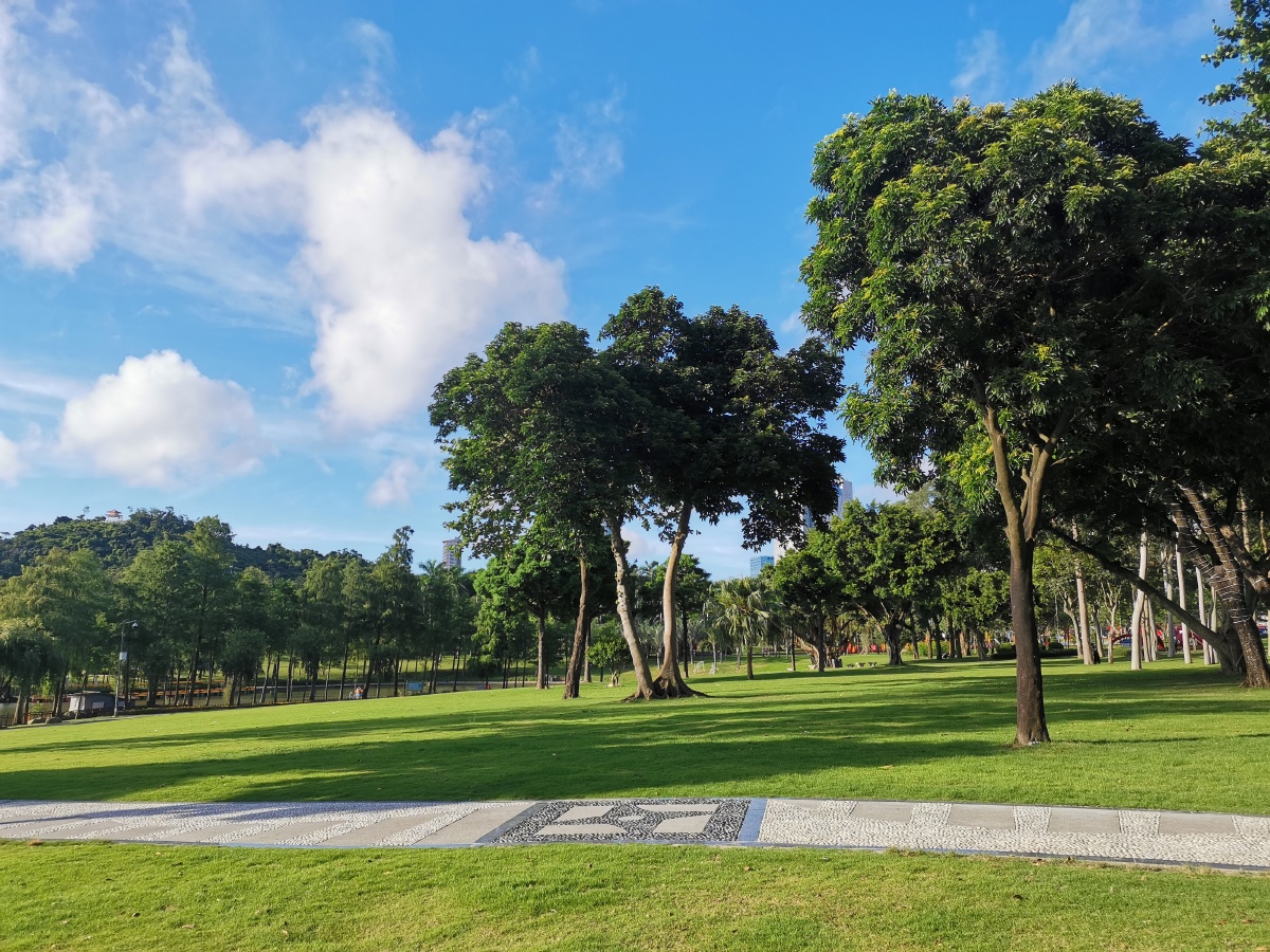 清晨的一缕阳光洒满大地滋养着每一寸土地