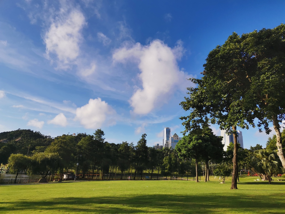 清晨的一缕阳光洒满大地滋养着每一寸土地