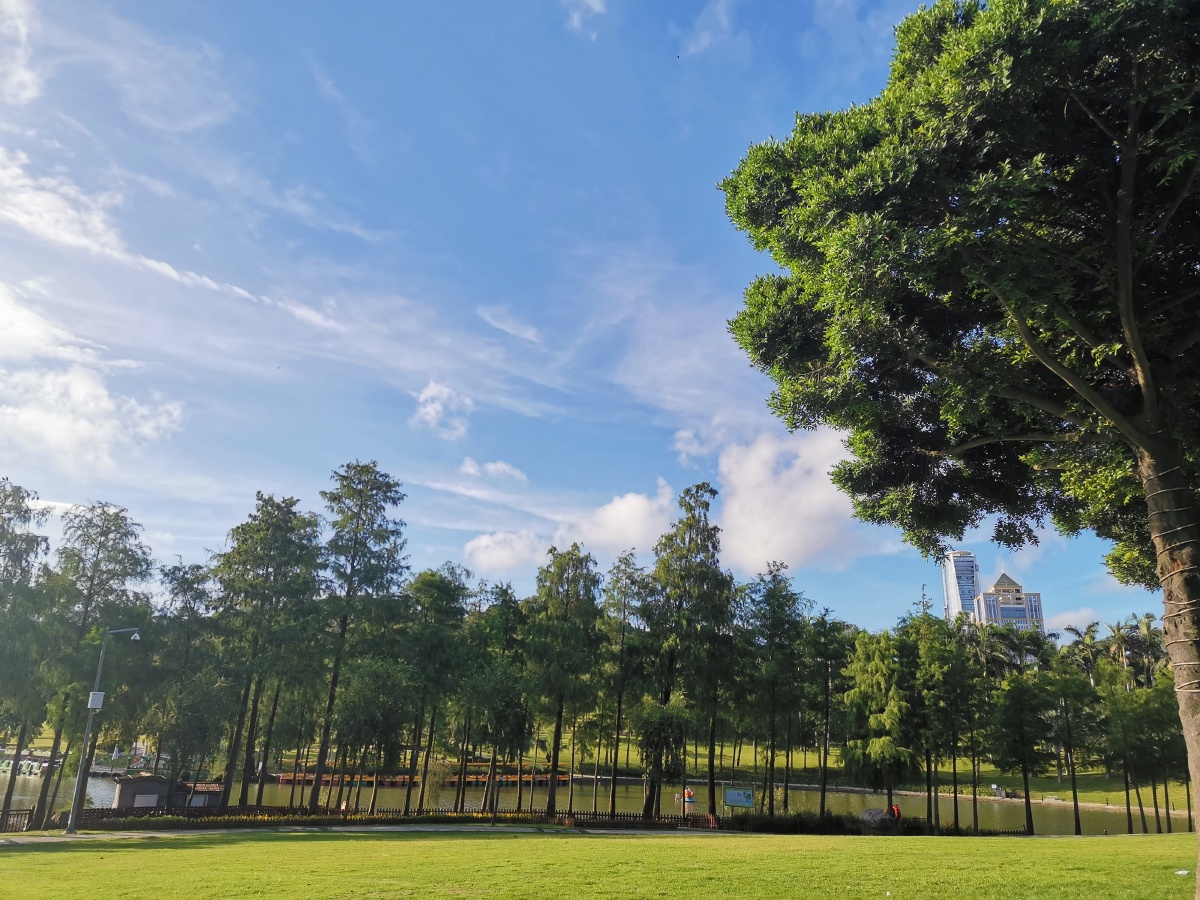 清晨的一缕阳光洒满大地滋养着每一寸土地