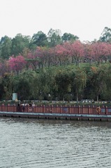 C70CDD39-DDD9-499D-86D3-07548EBDE36E/L0/001