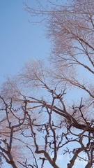 5B94E523-01F4-4C27-B483-38223B35DD79/L0/001
