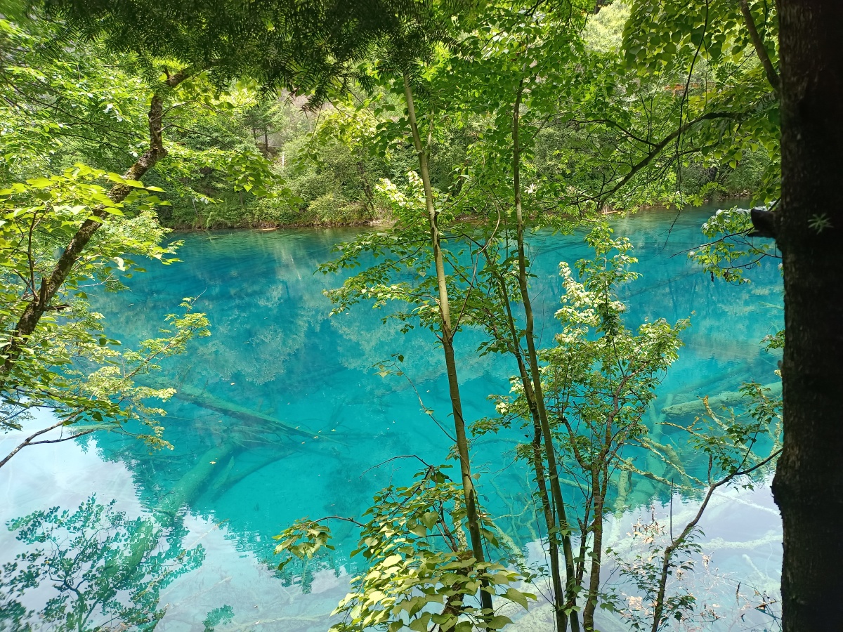 九寨归来不看水是对九寨沟景色真实的诠释
