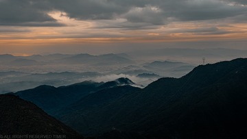 1000072917