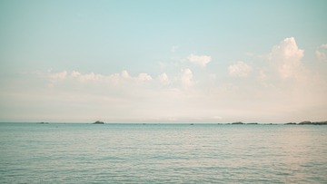 1000072261