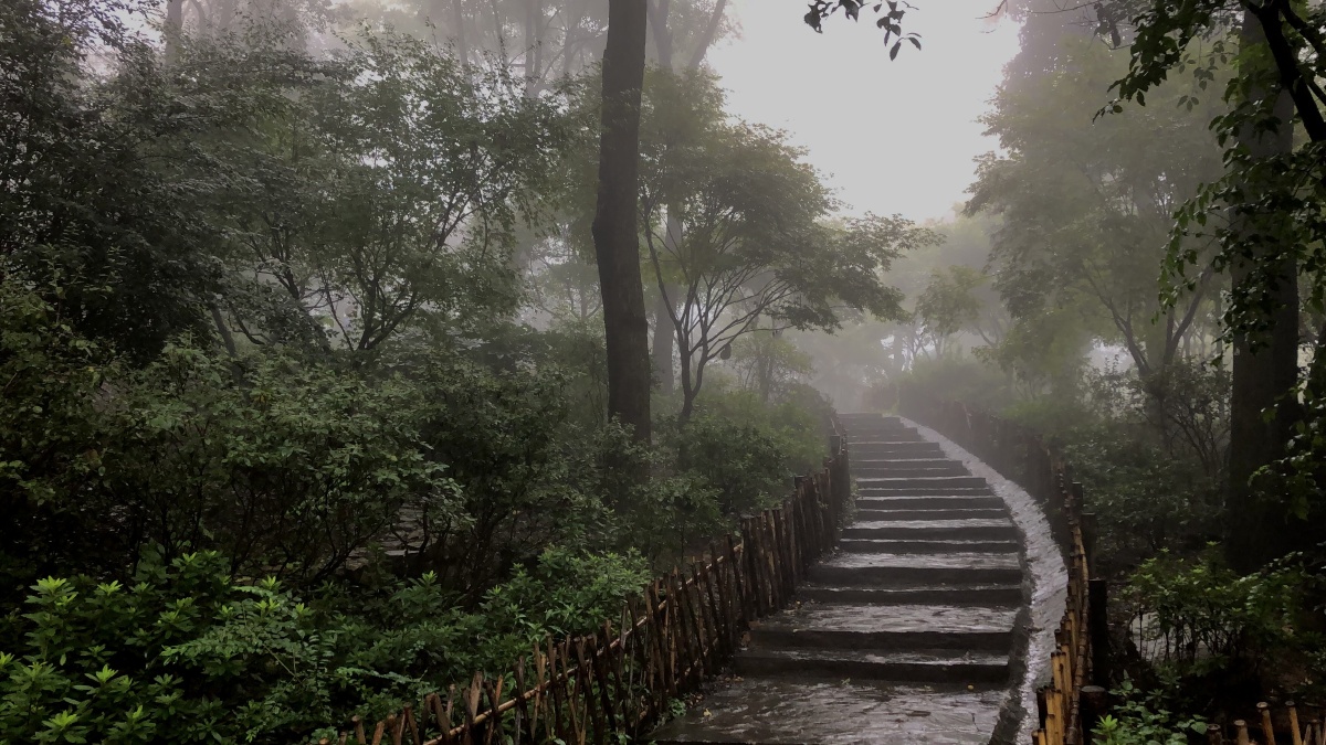 长沙岳麓山雨天雾气总觉得会有白衣少年从山上来