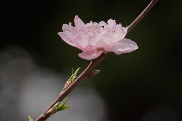 31ABF740-78B0-45CA-812F-A8926949A665/L0/001