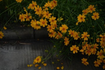 752AF92F-E596-45C7-949E-8BFA215A6B0F/L0/001