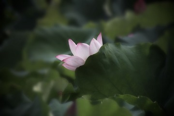 F9B6B335-E5FC-4B3C-8969-BA46954B160B/L0/001
