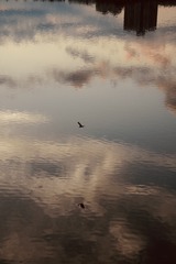 759D0720-8C15-4EEC-ADD8-1C0AB2850B7B/L0/001
