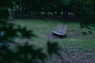 49381A23-1F49-42BE-80F2-71B7AF15D184/L0/001