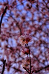 46A94356-F96B-4DB2-B043-E561EF45D2C7/L0/001