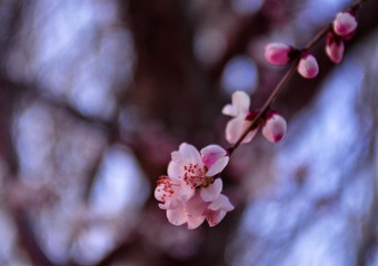 477C6591-A15F-4D4B-A657-EF8134A9B84E/L0/001