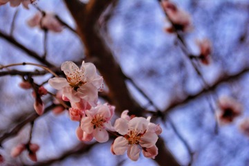 C77FE07E-8B52-42E8-9EC4-C3351B0949FF/L0/001