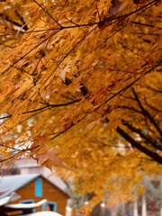 0B225907-5B65-4678-8FA2-586CF0A8BDA4/L0/001