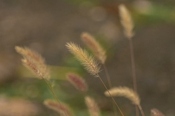 19706