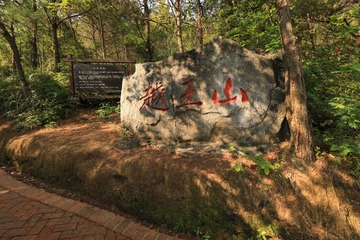 3136300