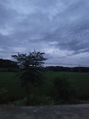 1000078788