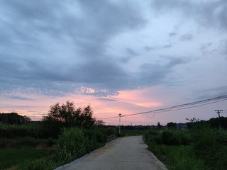 1000078931