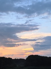 1000079025
