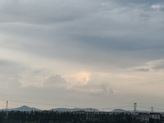 1000078990