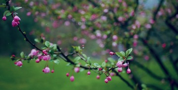 19A4A4B6-B11F-4251-A8FB-58FE560C4486/L0/001