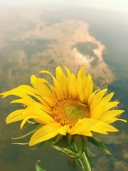847644BD-C3D5-4F0F-B47D-4C339DA21B00/L0/001