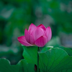 001