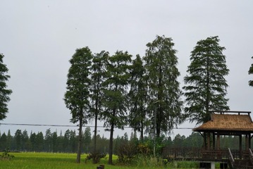 C7BBE250-2BBE-4F0E-BFE0-466A773C275A/L0/001