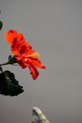 6B1B86A3-E072-40D6-B30B-38446F7F96F4/L0/001