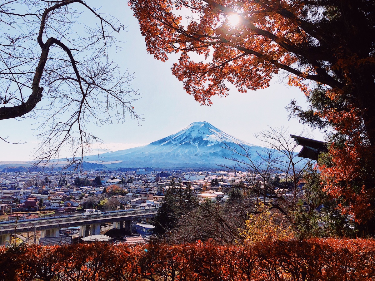 1/1风光摄影圈富士山日本秋季树风景优美的季节公园枫树景观风光旅行