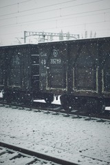 82566