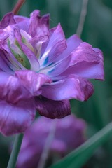 414683F0-F436-4013-83F7-6E7B5E590E77/L0/001