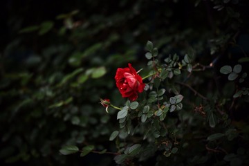 E754515B-7F2E-4F23-B0B3-A94A6060DD73