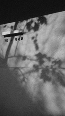1AB32309-EEBA-4DFF-9A36-B1FB9D7B454F/L0/001