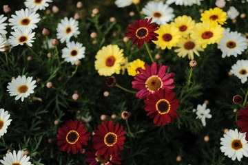 00AFF554-0A52-4F47-A3C8-9545F58579BC/L0/001