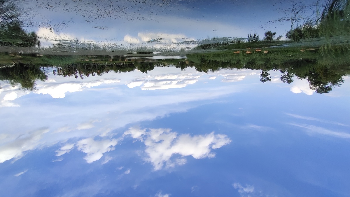 昆明盛夏王官湿地公园