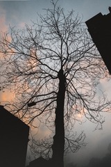 09556787-E541-4665-8F24-BB0682C5DF2A/L0/001
